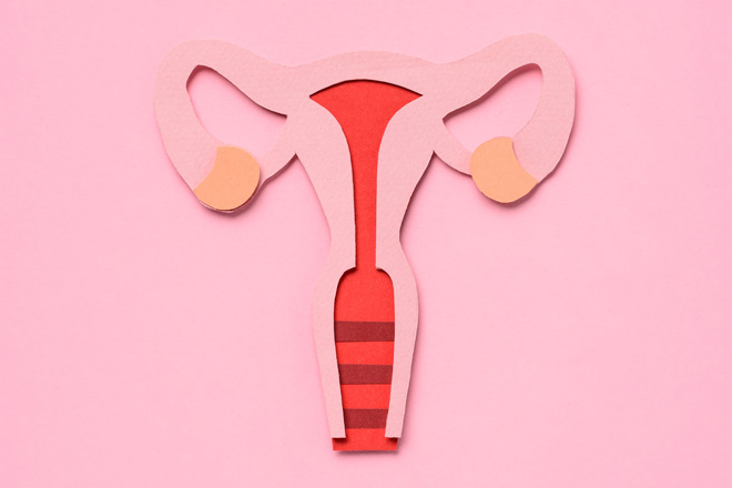 Meta-evaluación de proyectos sobre prevención de violencia y derechos sexuales y reproductivos